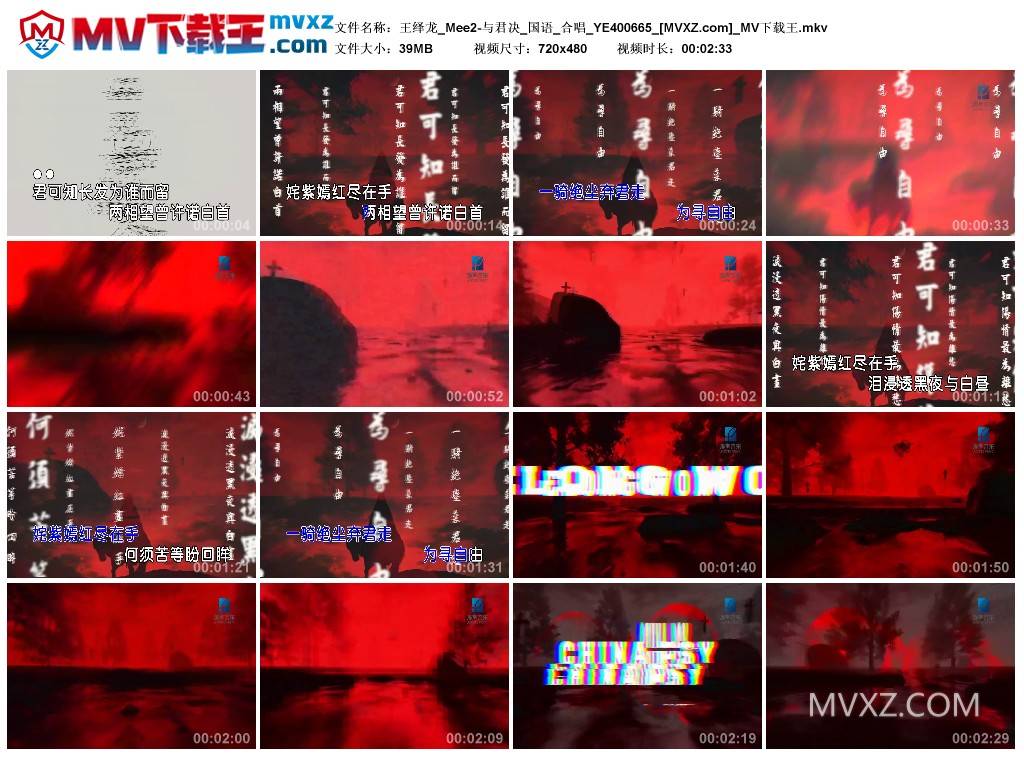 王绎龙_Mee2-与君决_国语_合唱_YE400665